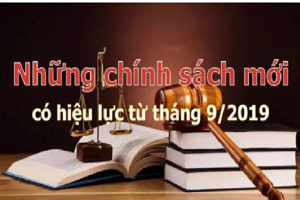 Những chính sách mới nổi bật có hiệu lực từ tháng 9/2019